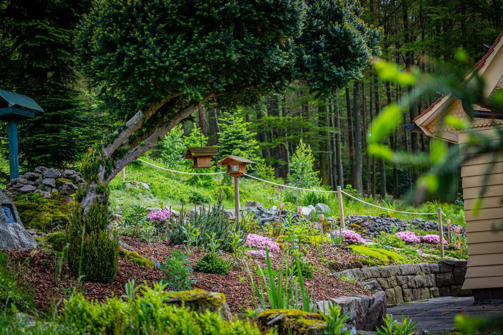 Sonnenhaeusle - Natur. Fernblick. Panorama-Sauna. Sasbachwalden Ngoại thất bức ảnh