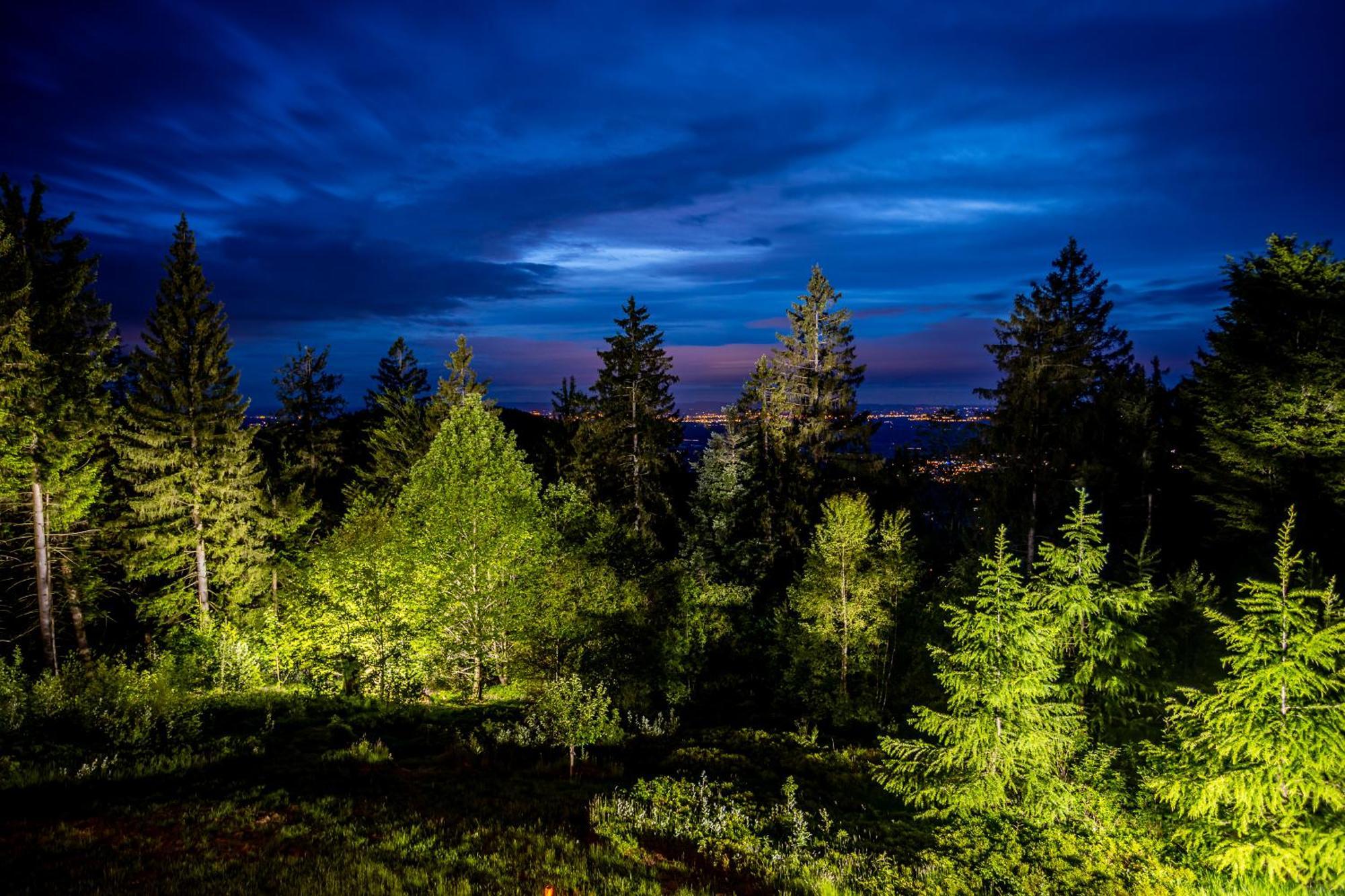 Sonnenhaeusle - Natur. Fernblick. Panorama-Sauna. Sasbachwalden Ngoại thất bức ảnh