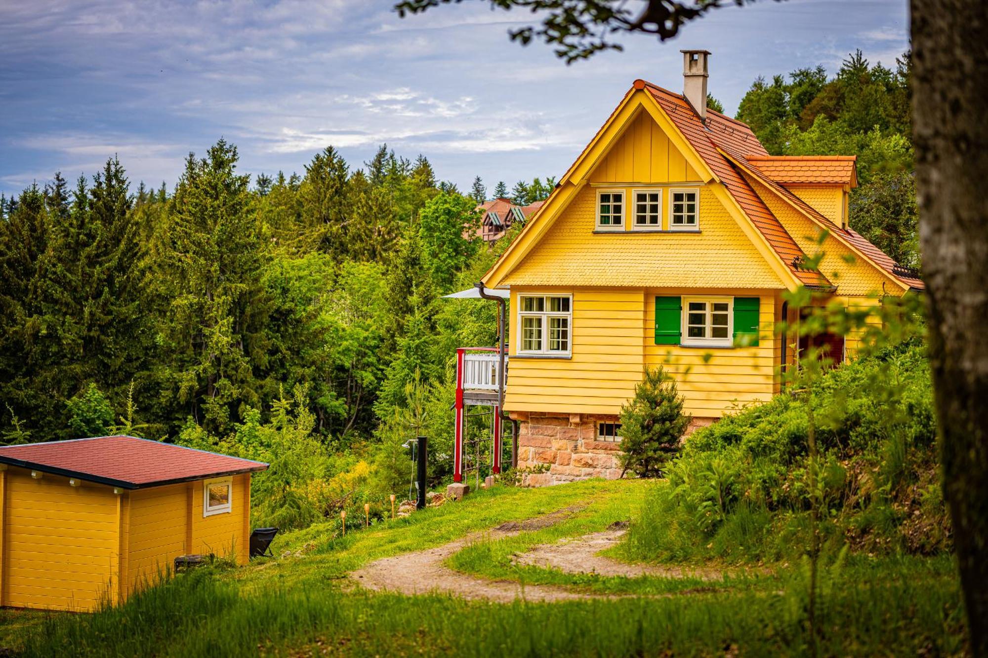 Sonnenhaeusle - Natur. Fernblick. Panorama-Sauna. Sasbachwalden Ngoại thất bức ảnh