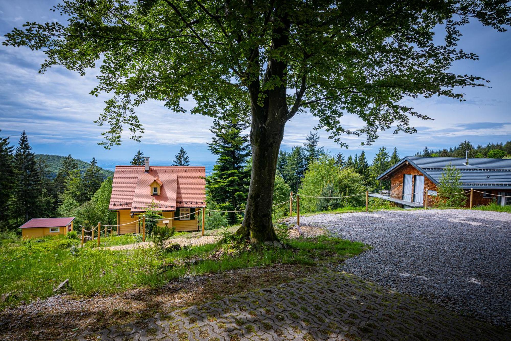 Sonnenhaeusle - Natur. Fernblick. Panorama-Sauna. Sasbachwalden Ngoại thất bức ảnh
