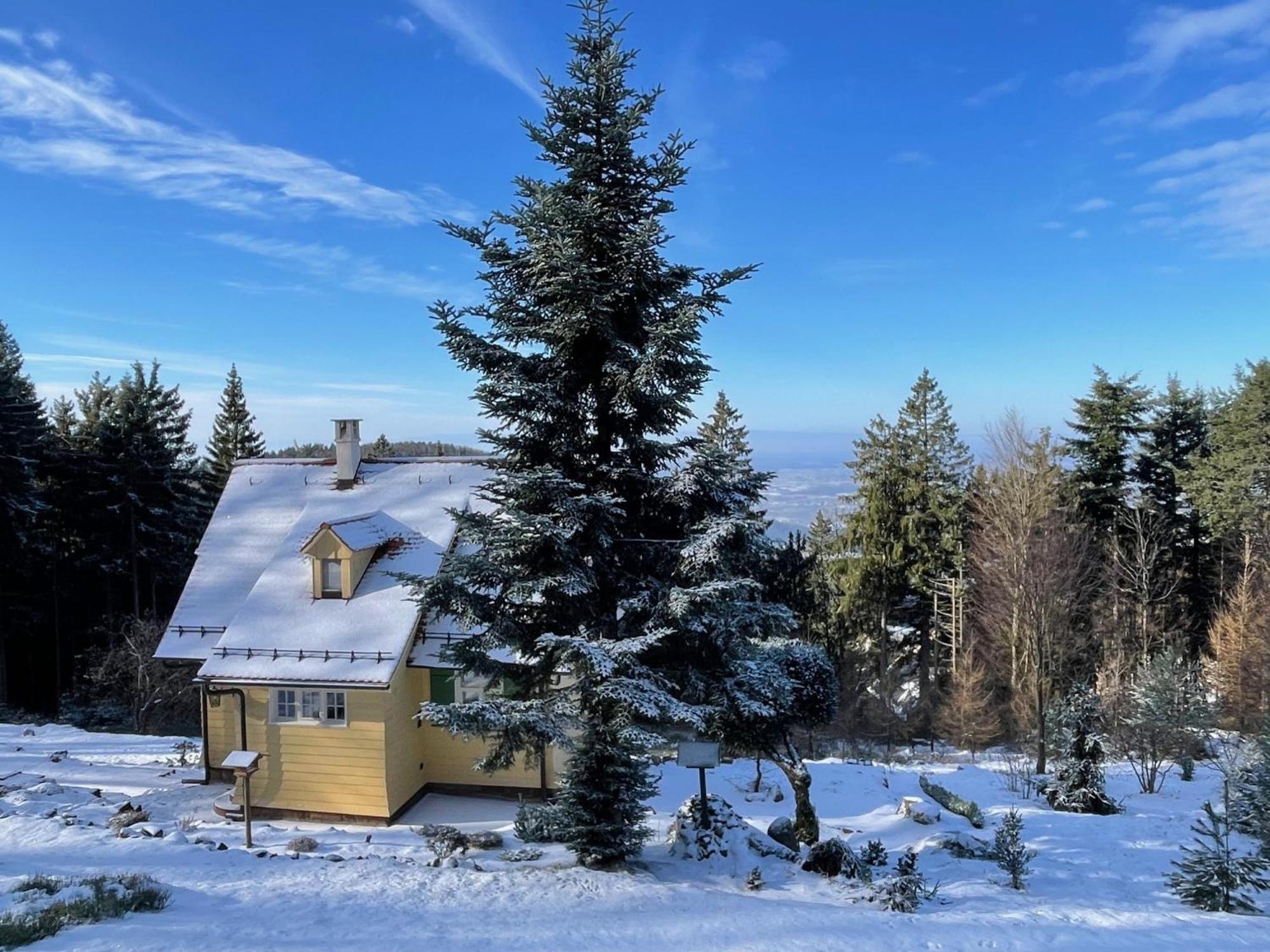 Sonnenhaeusle - Natur. Fernblick. Panorama-Sauna. Sasbachwalden Ngoại thất bức ảnh